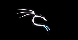Hack Android Mobile Devices By Learning Kali Linux