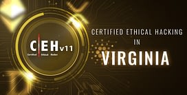 Ethical Hacking in Virginia