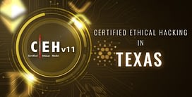 Ethical Hacking in Texas